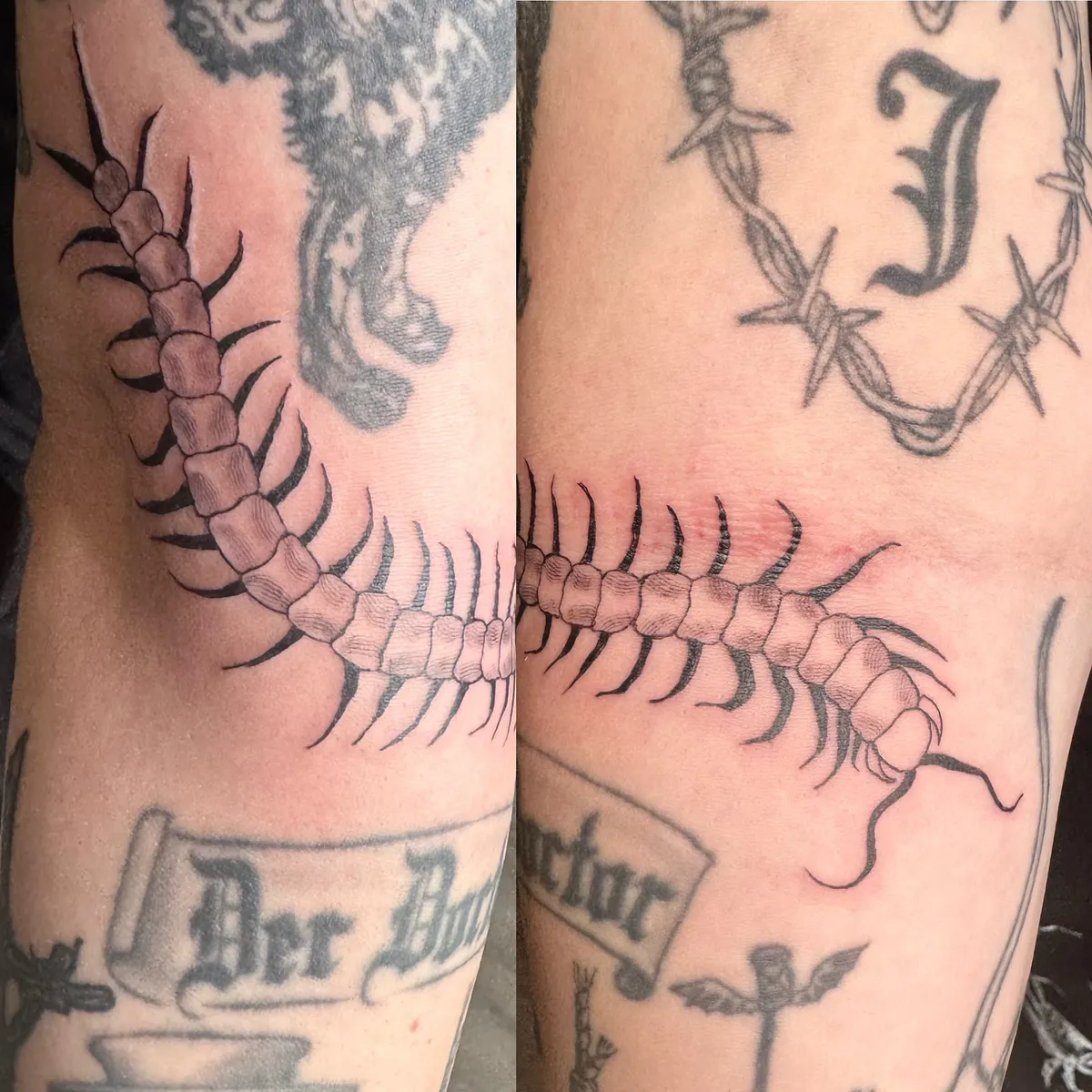 Portfolio 7 - tattoo by Foxy Ink
